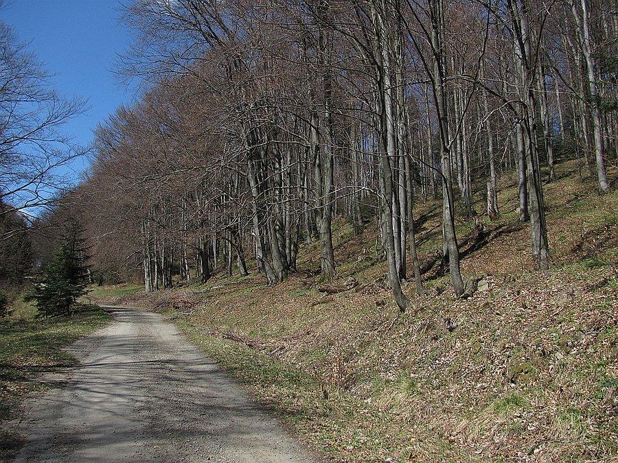 Radosny wiosenny podjazd