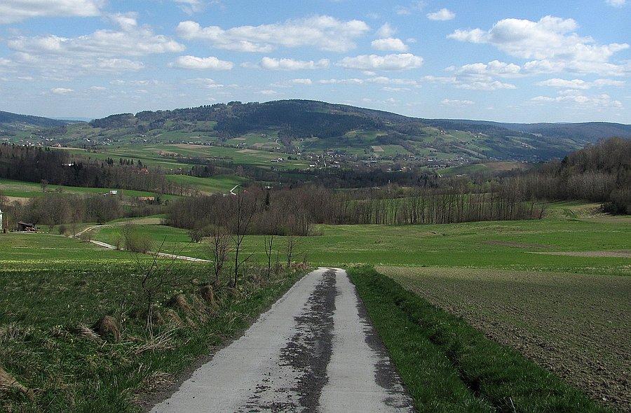 Nad stromymi betonami i polną drogą do Wawrzki