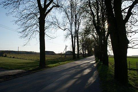 Aleją na wysokości Olszowej