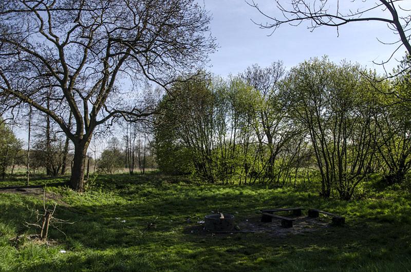 Miejsce piknikowe