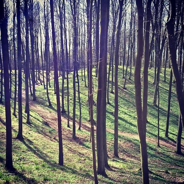TPK wiosną