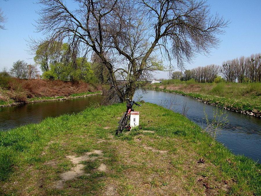 Między Olzą a Odrą. Po prawej Olza po lewej Odra