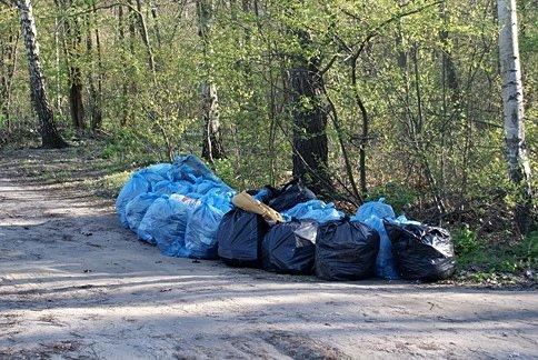 Efekt sprzątania świata?