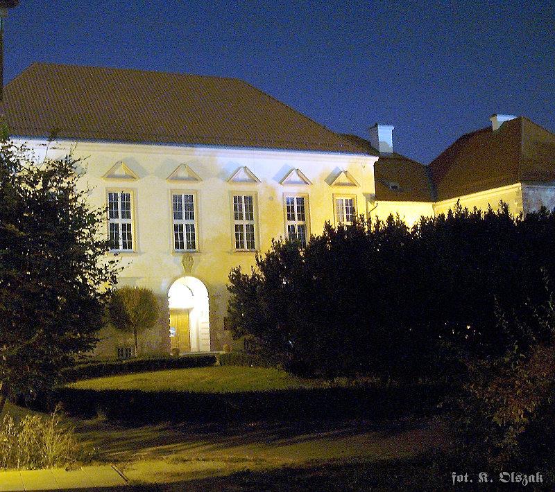 Pałacowa szkoła na Powiślu