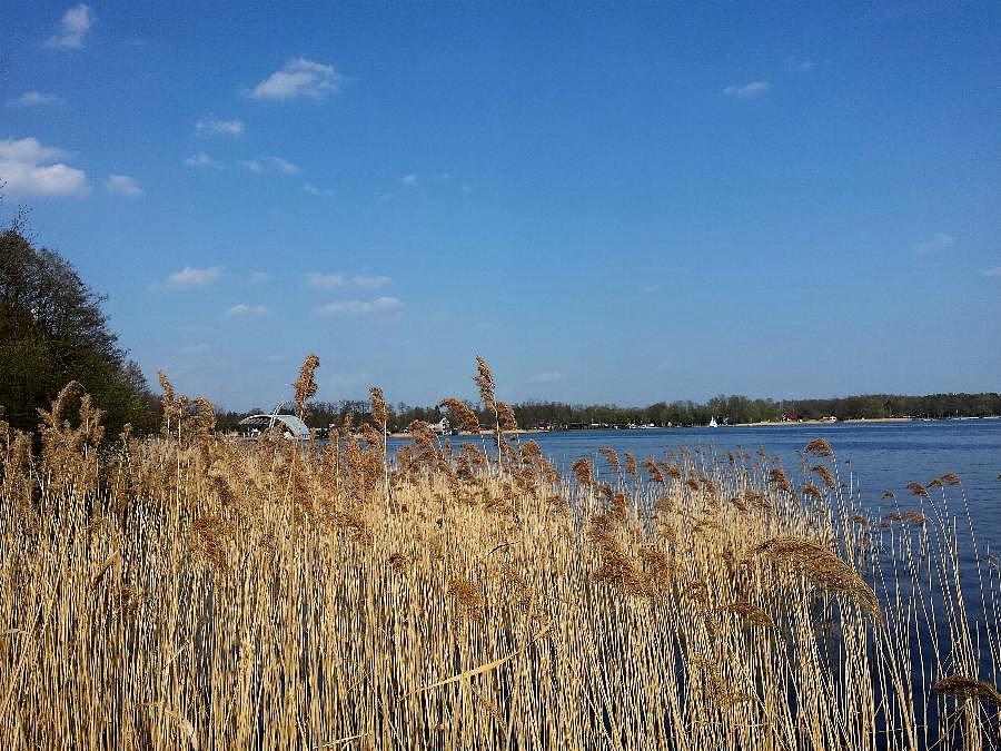 Jezioro Miedwie
