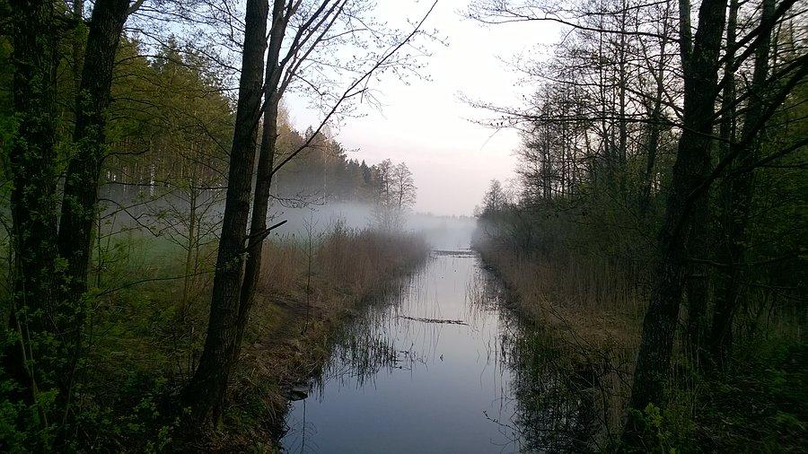 Strumyk pomiędzy Ełckim a Szarek