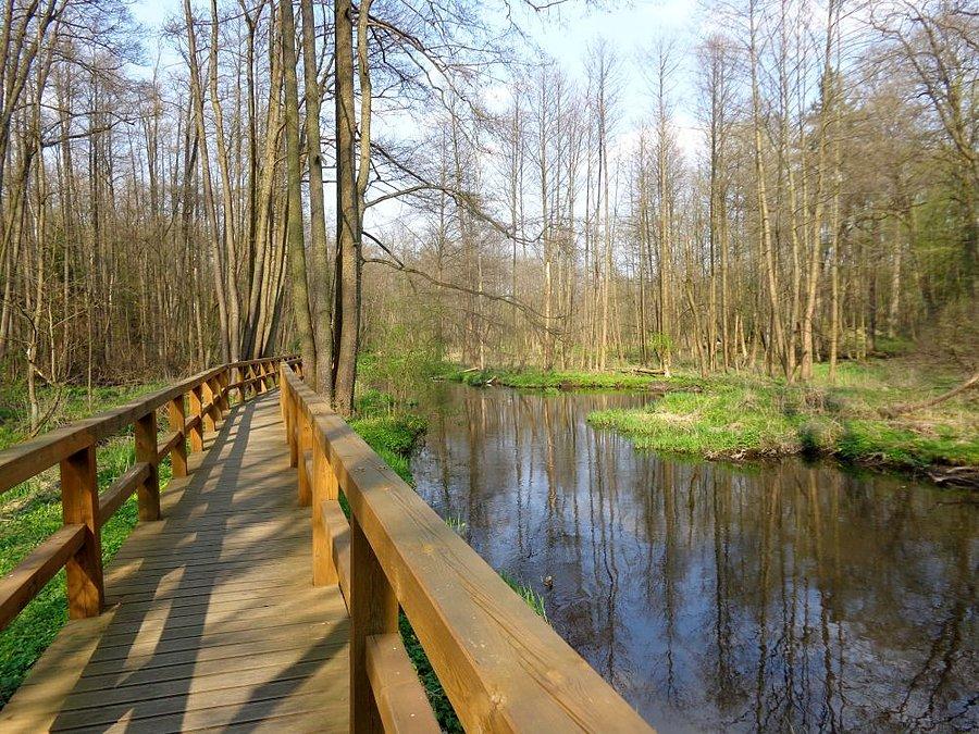 Prawie jak nad Wisłokiem
