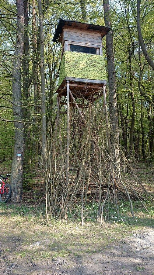 Chojnowski Park Krajobrazowy - "Wieża"