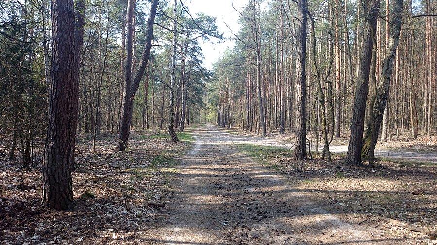 Chojnowski Park Krajobrazowy - trasa