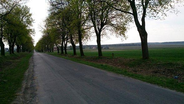 Droga w kierunku Wilkołazu