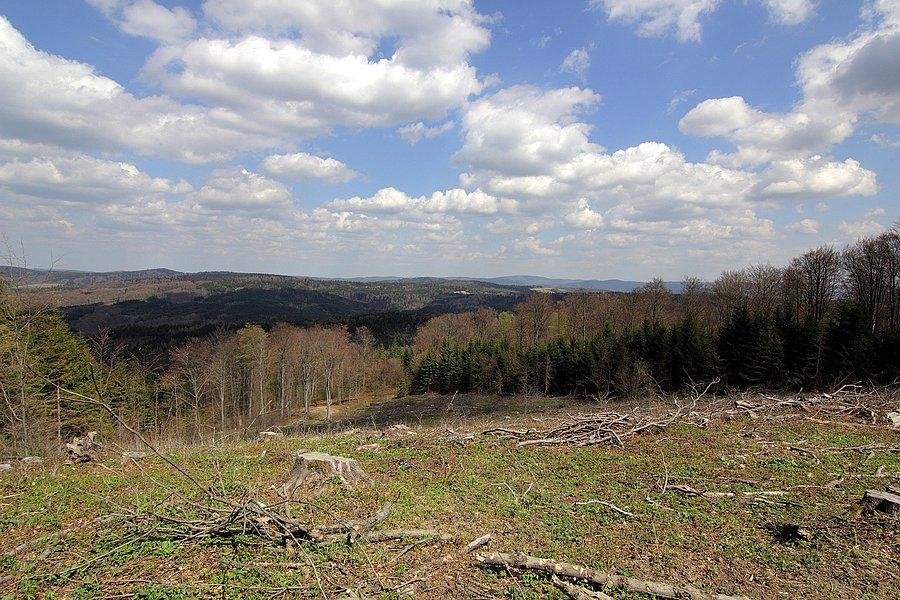 Wycinka w słowackim stylu