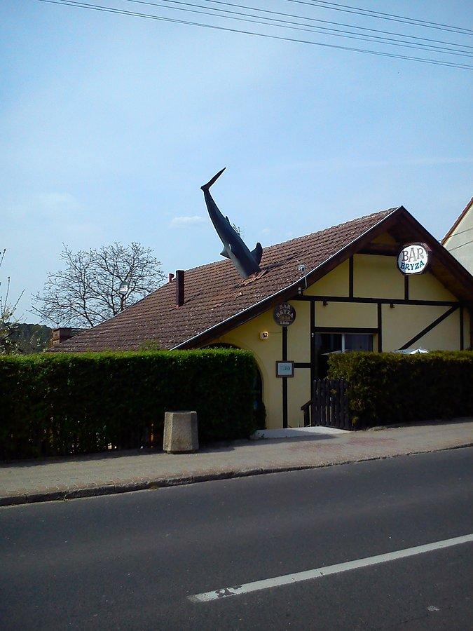 Czas na ryby.Lubniewice