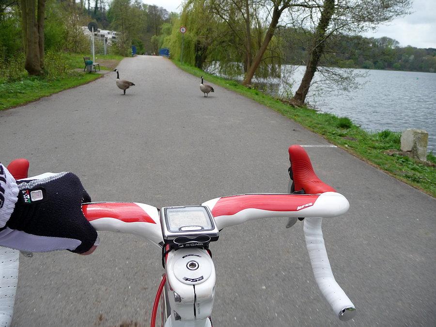 RTF "Zwischen Ruhr und Wupper"