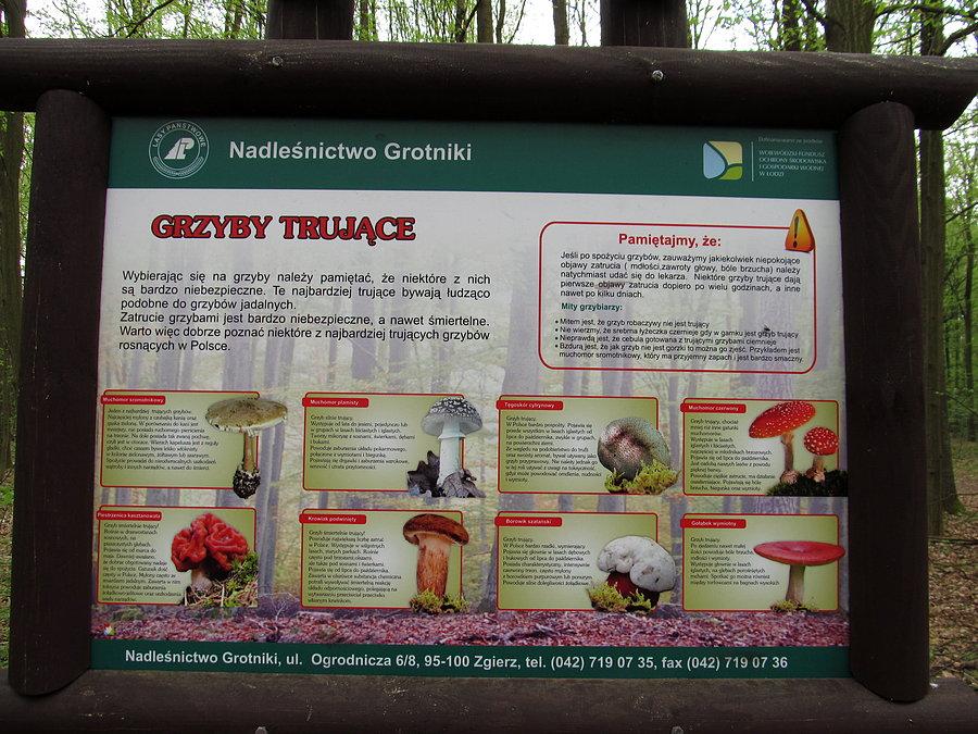... tych nie zbieramy i nie niszczymy !!!