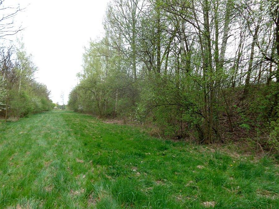 Strzelnica