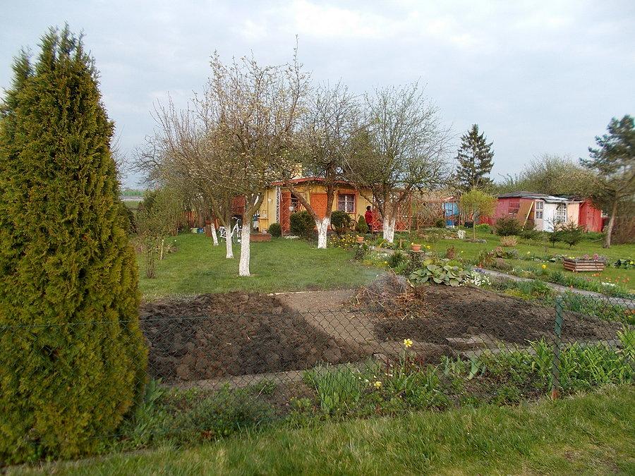 Działka Dareckiego