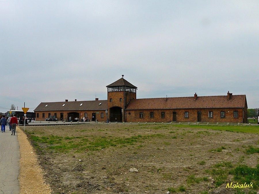 Brzezinka
