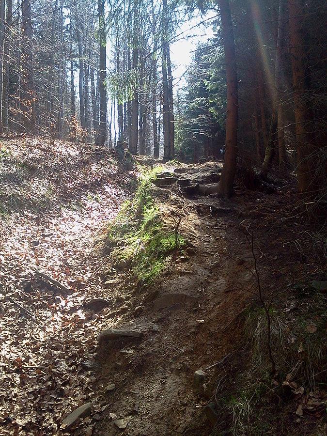 Ścianki