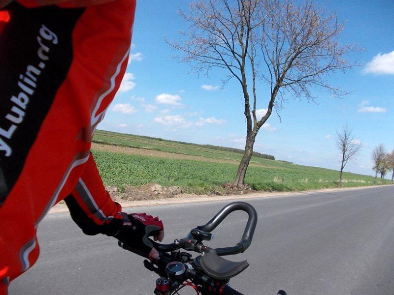 Jeszcze chwilka i wszystkie dzewa będą zielone