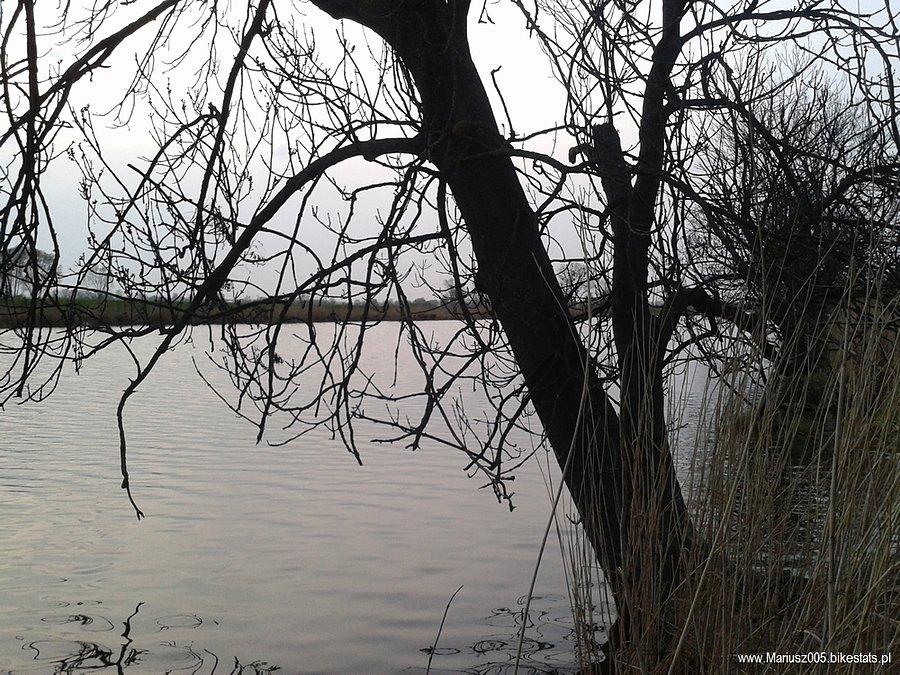 Nad rzeką Elbląg