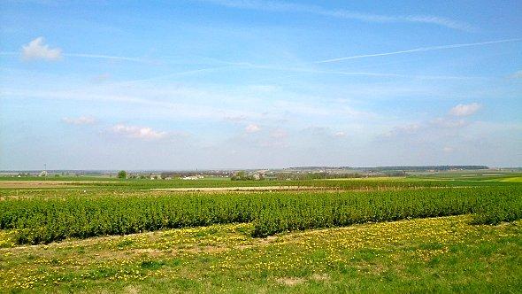 Widok na pola koło Osowy
