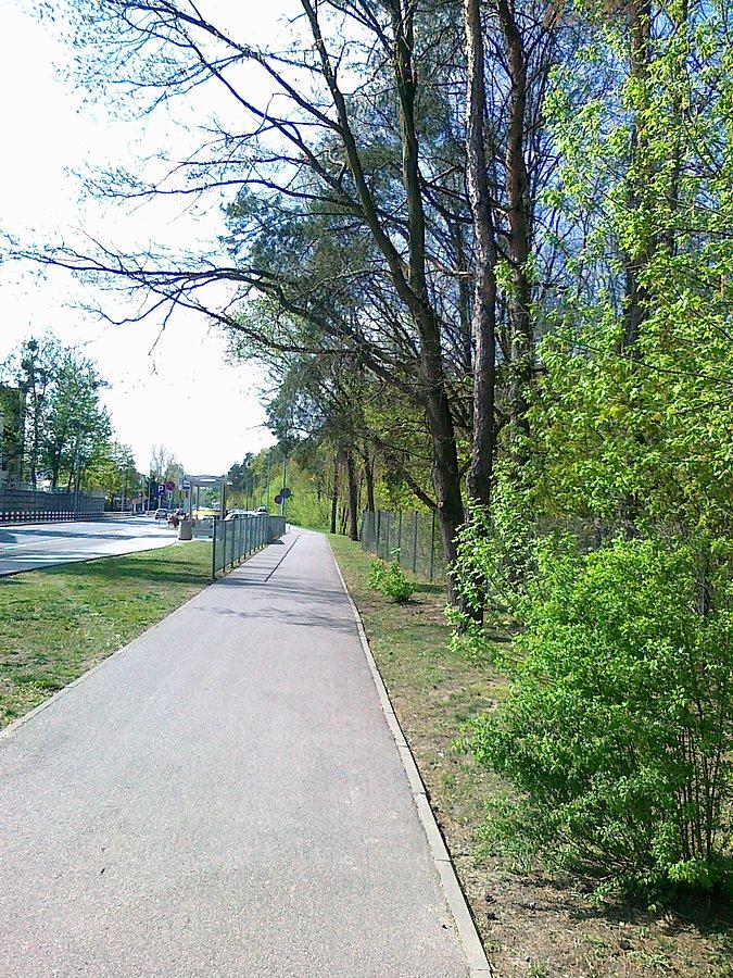 Najpierw załatwiłam sprawę na Kocjana