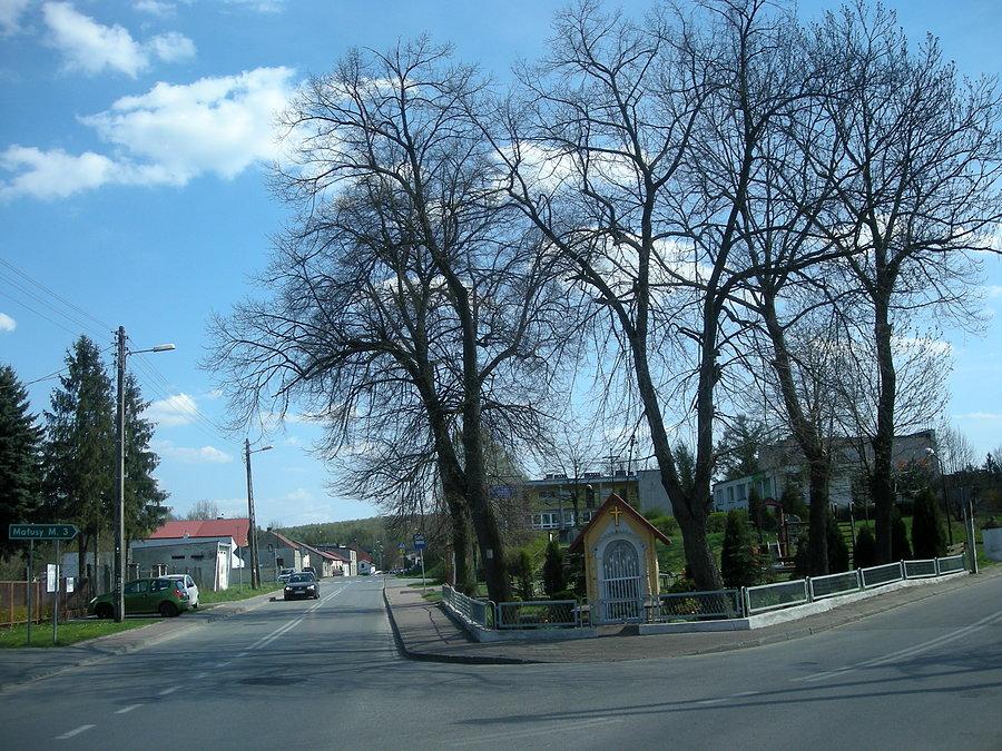 Mstów - w prawo pod górkę na Małusy Małe