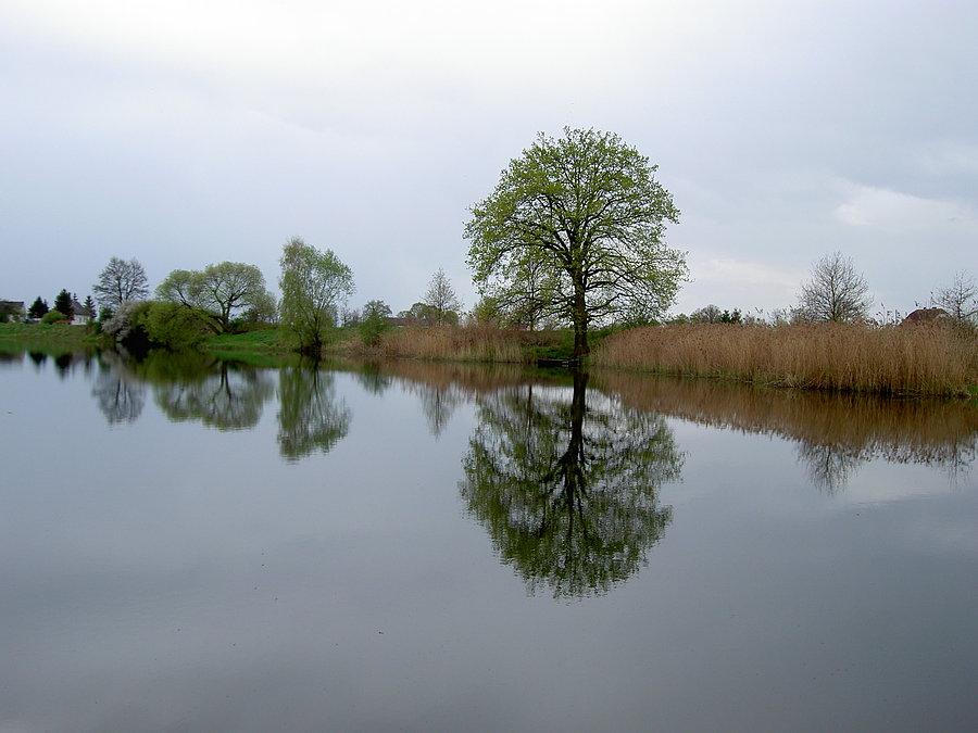Starorzecze odry w Mechnicach