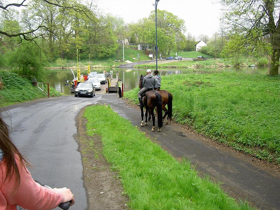 Z koniami na prom