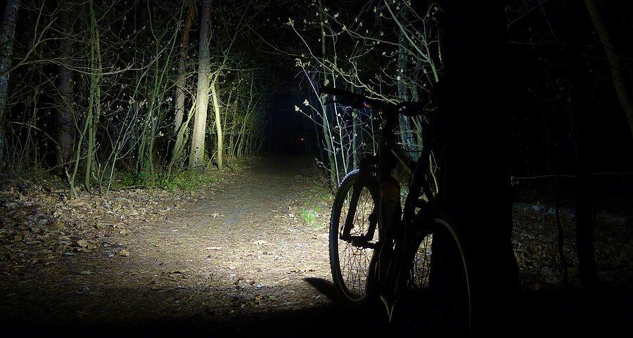 Nocą po lesie