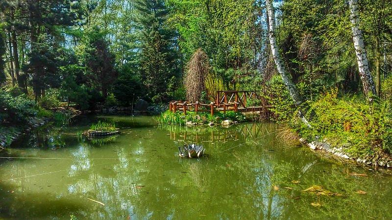 W Parafialnym Ogrodzie Botanicznym