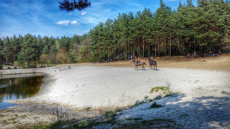 Szlak konny dookoła jeziorka?