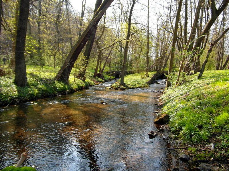 Park - Wejherowo