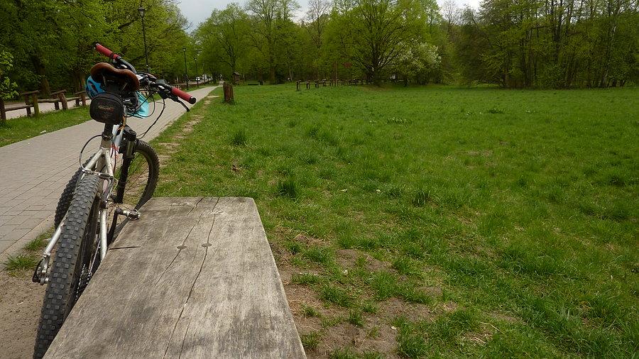 Park Młociński