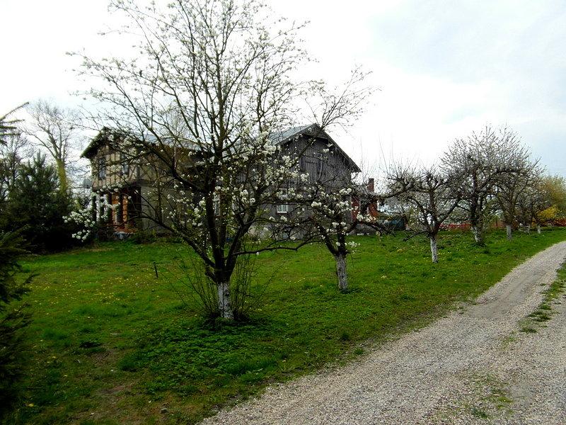 Dom podcieniowy - Świerki