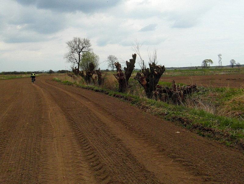 W kierunku wieży