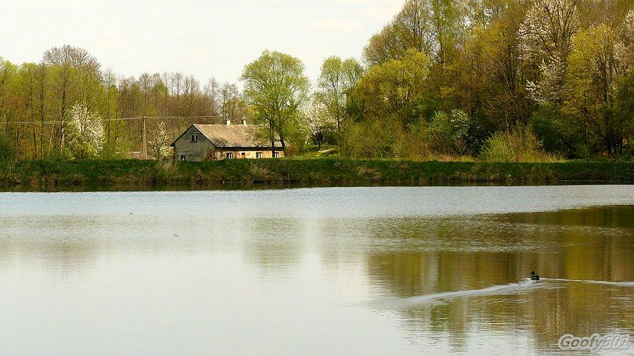 Stawy w Pisarzowicach