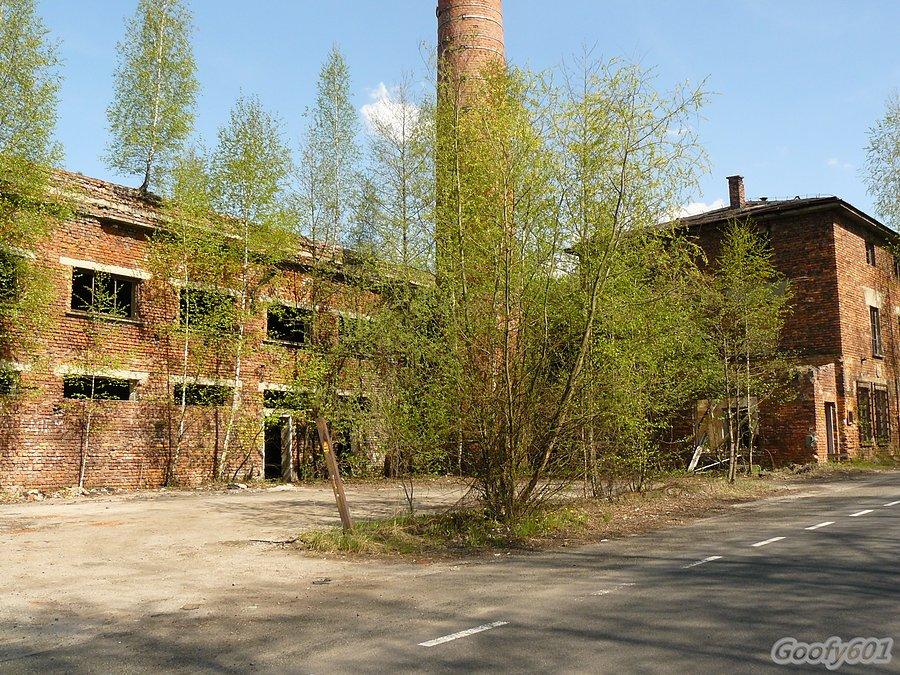 Tajemnicze zabudowania fabryczne na granicy Wilamowic i Starej Wsi