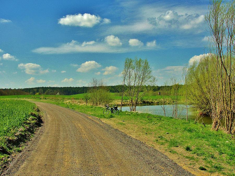 Okolice Tczewa