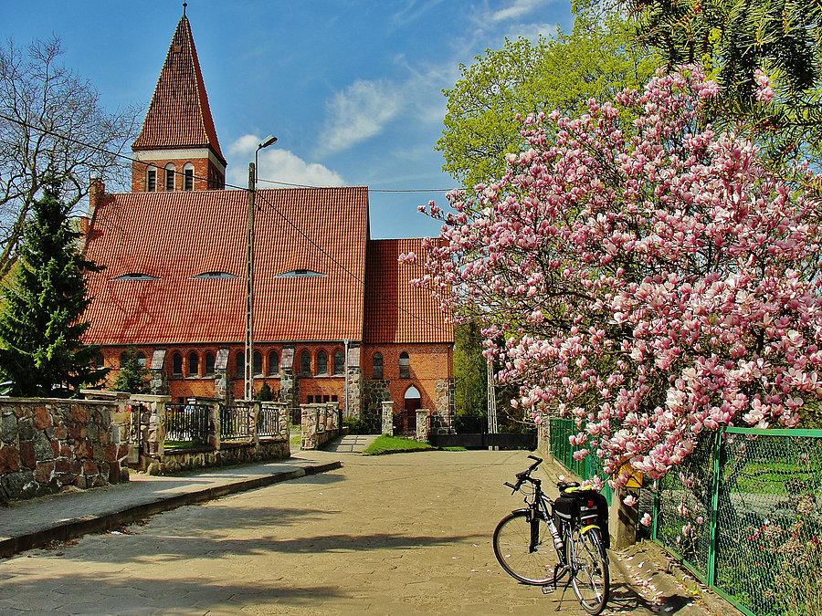 Okolice Tczewa - Turze