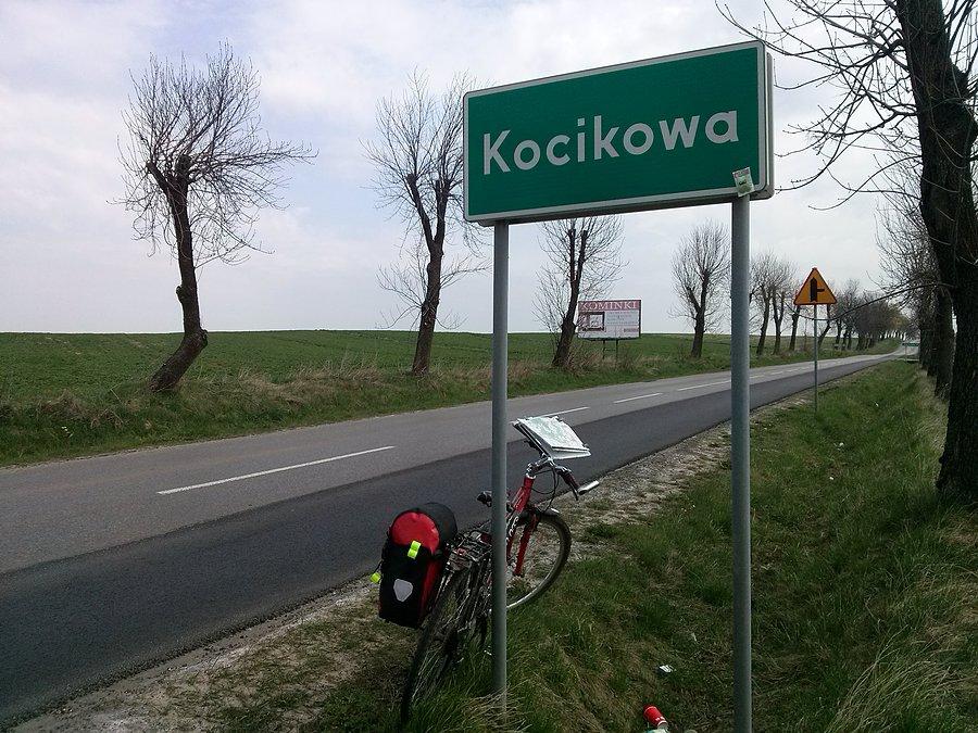 Kocikowa polowanie na sierściucha