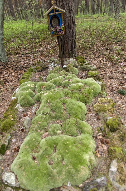 Krzyżowy mech