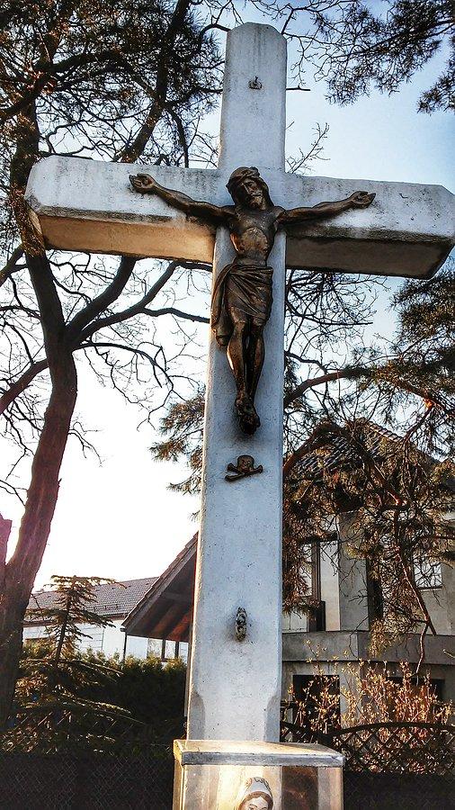 Czyżby to była czaszka...?