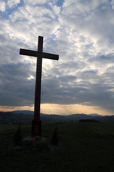 Krzyż Płonki