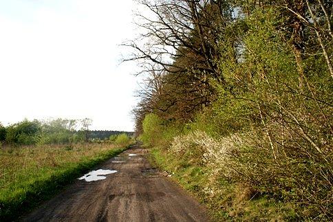 Na łódzkim szlaku konnym w pobliżu Woli Wiadernej