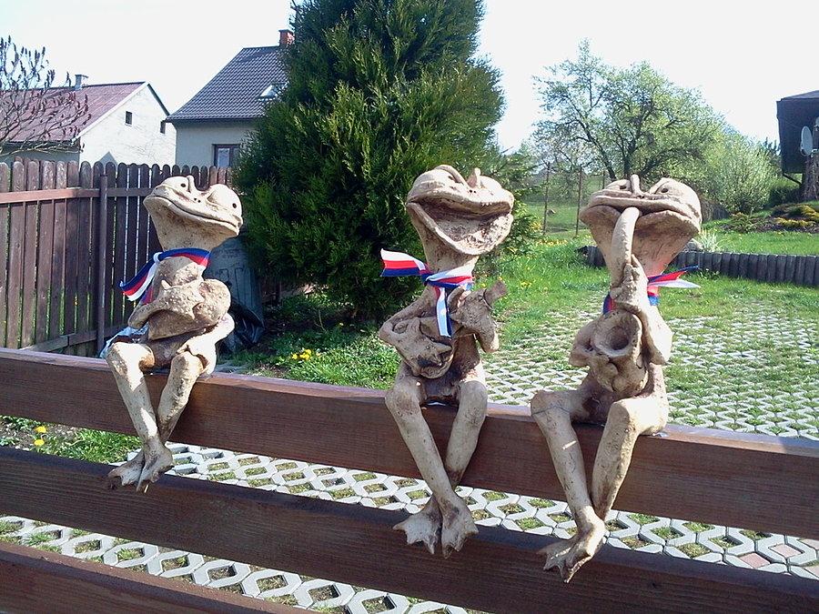 Żabki na płocie