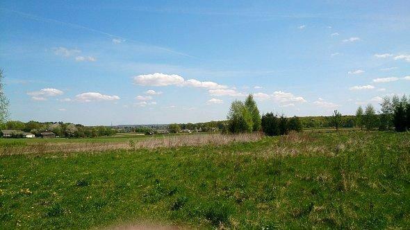 Pola w Kazimierzówce