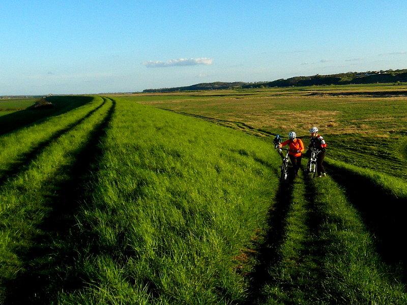 Zielone pola nad Wisłą