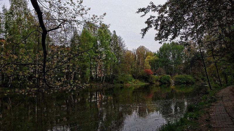 Staw w okolicy Akadamików