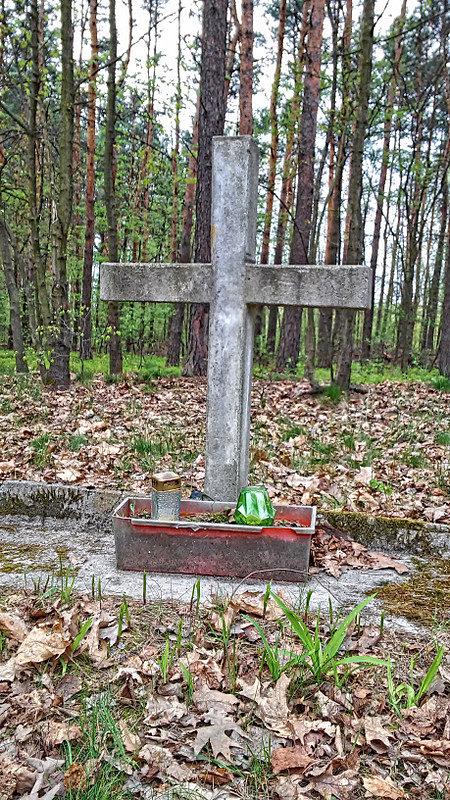 Przydrożny krzyż w pobliżu starych panewnik